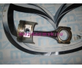    ZJ STD d=74