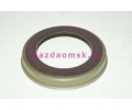  ABS  DY (D351)