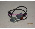   (ZJ01) (FP39) (ZL01) ()