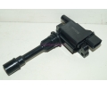   FP (FP85)