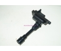   FP (FP85)